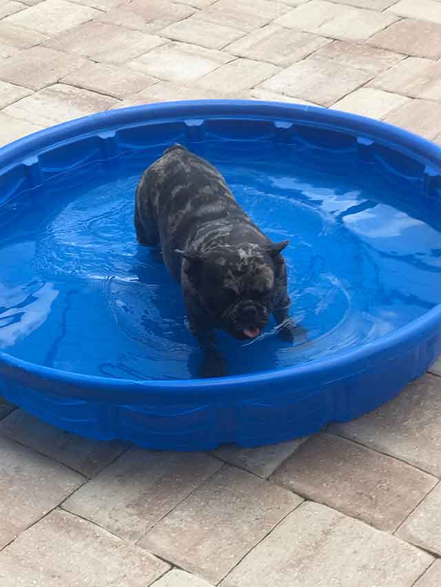 Abbey-cooling-off