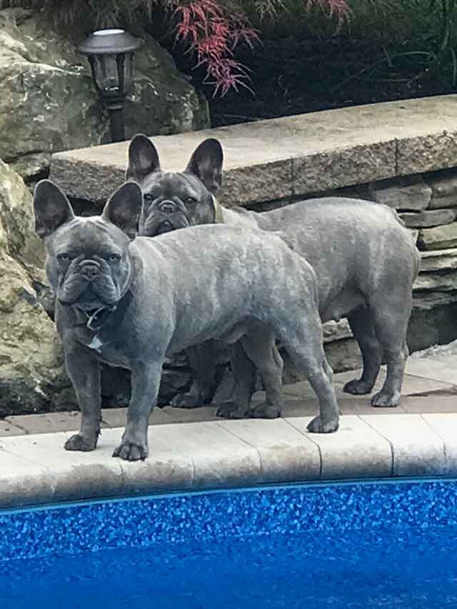 Tucker-Mimi-by-the-pool